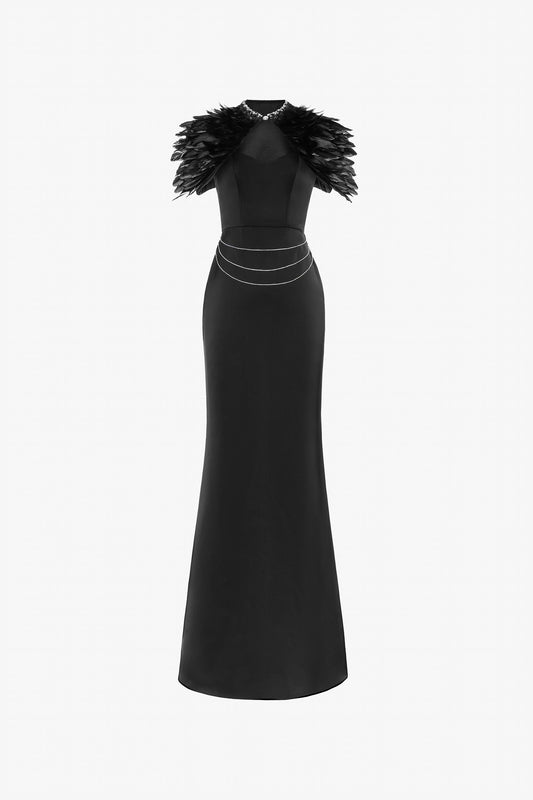 The Black Feather Trimmed Embellished Maxi Dress with a sweetheart neckline and silver-accented waist.