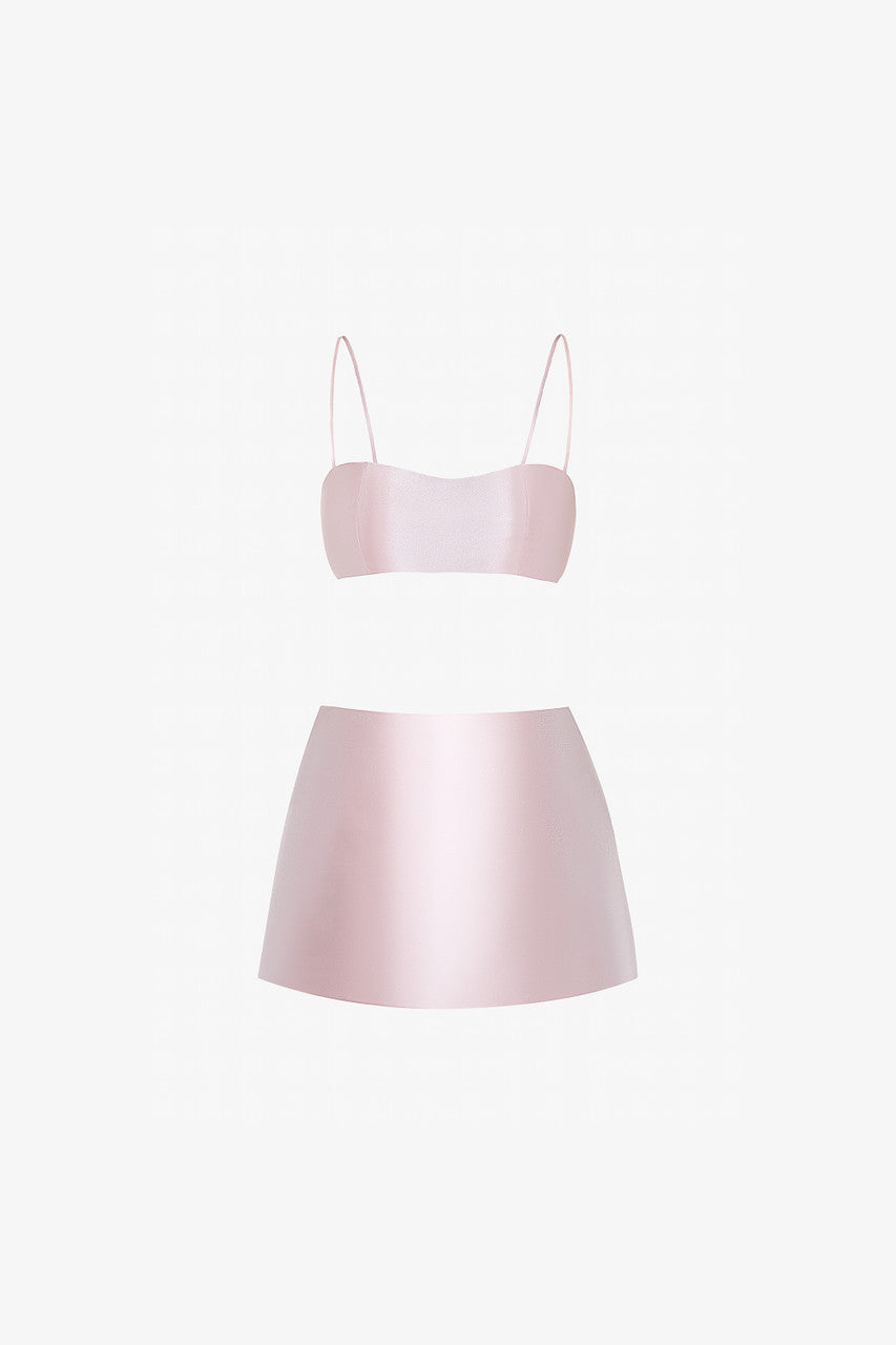 Pink adjustable bra and A-line skirt.