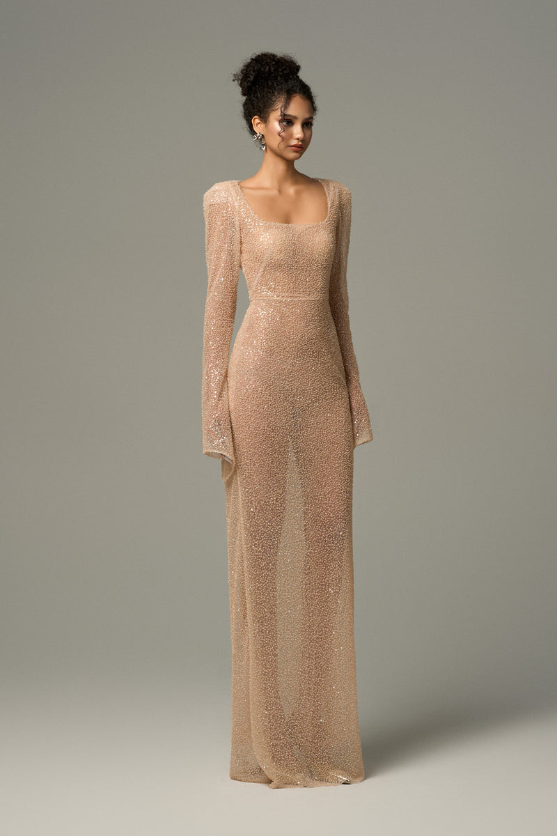 Opalina Beaded Mesh Body Hugging Maxi Dress With Slit Sleeves
