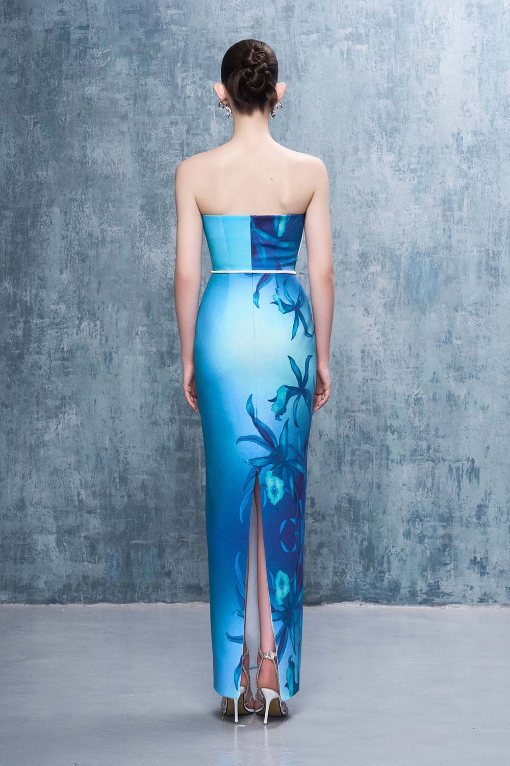 Monette Floral Print Bandeau Maxi Dress