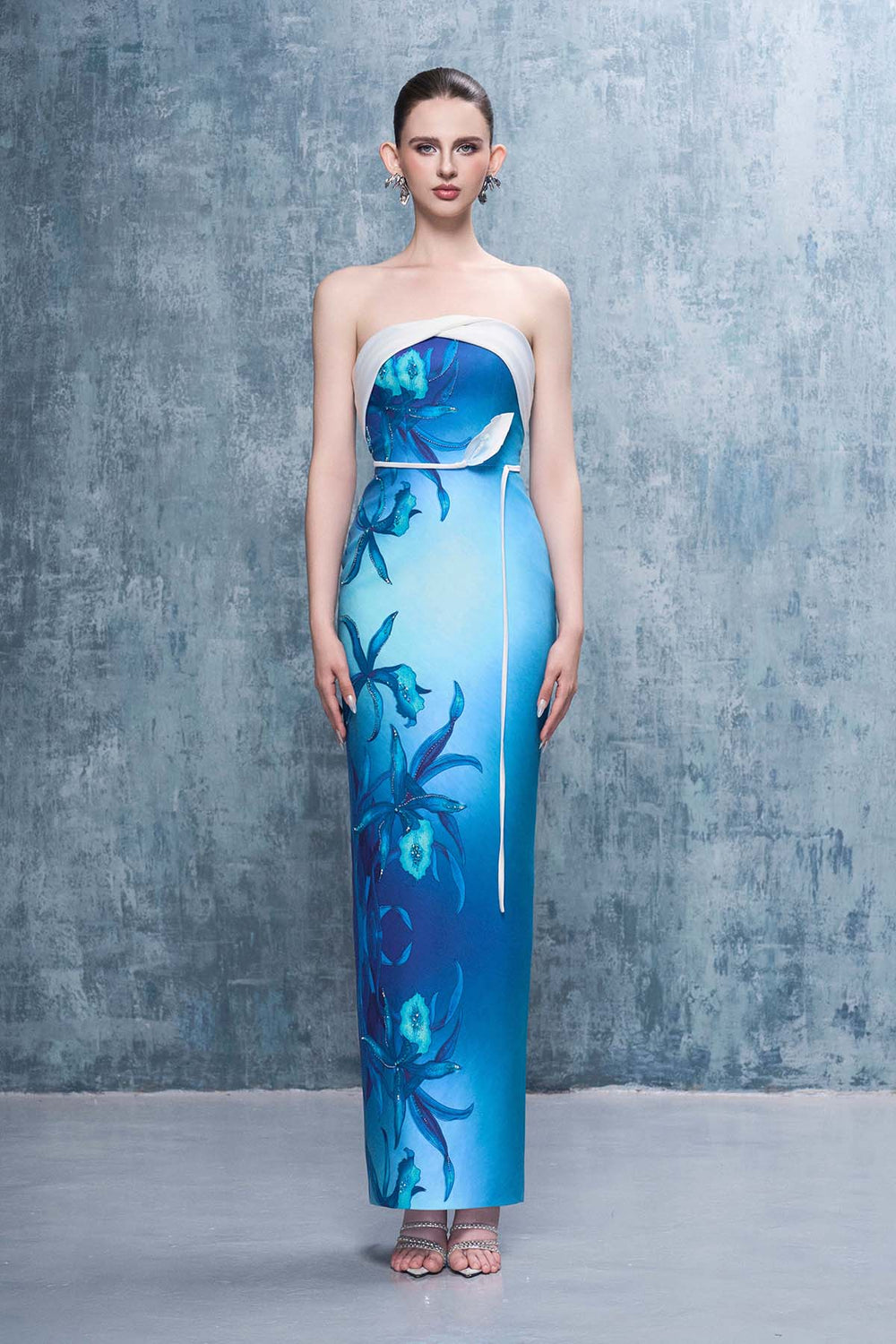 Monette Floral Print Bandeau Maxi Dress