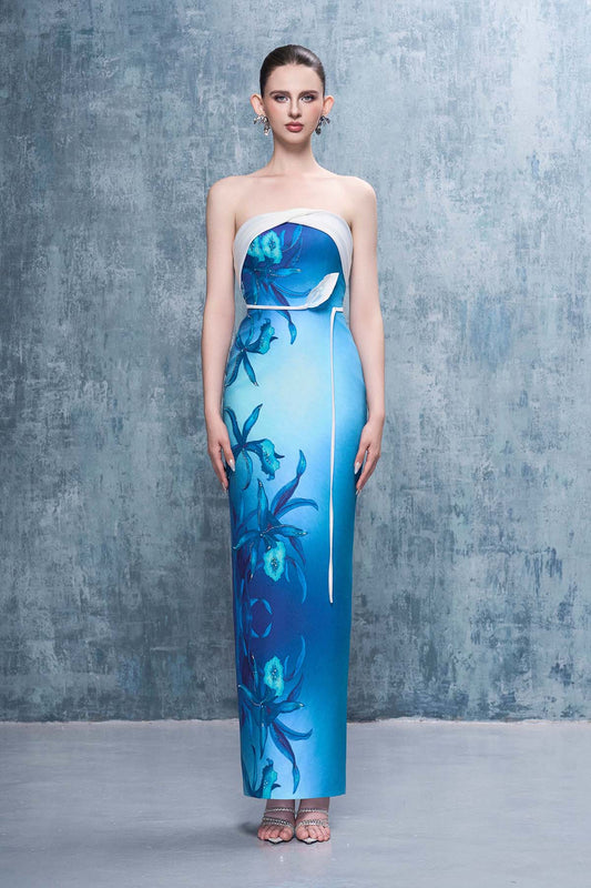 Monette Floral Print Bandeau Maxi Dress