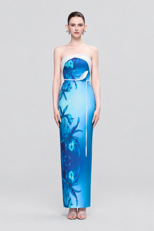 Monette Floral Print Bandeau Maxi Dress