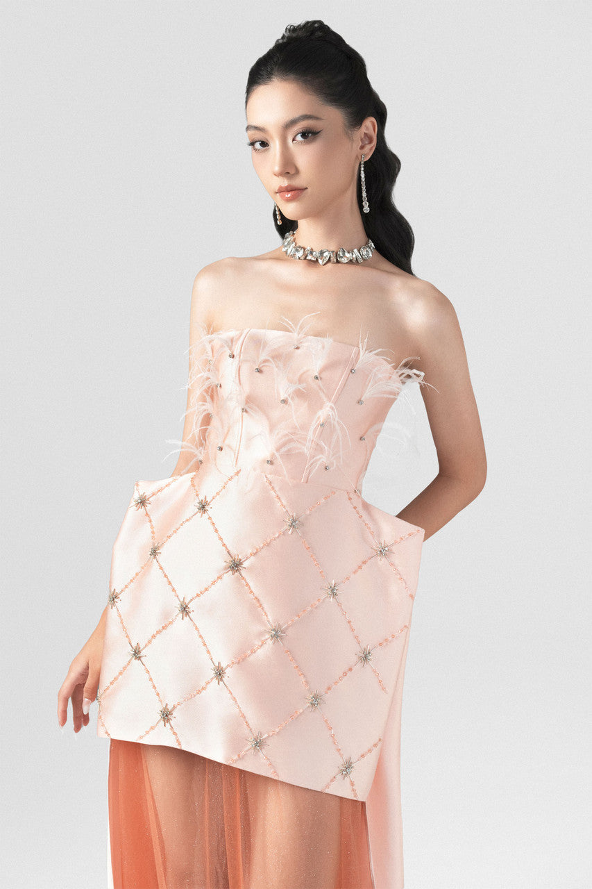 Victorian Strapless Feather & Stone Embellished Boxy Gown