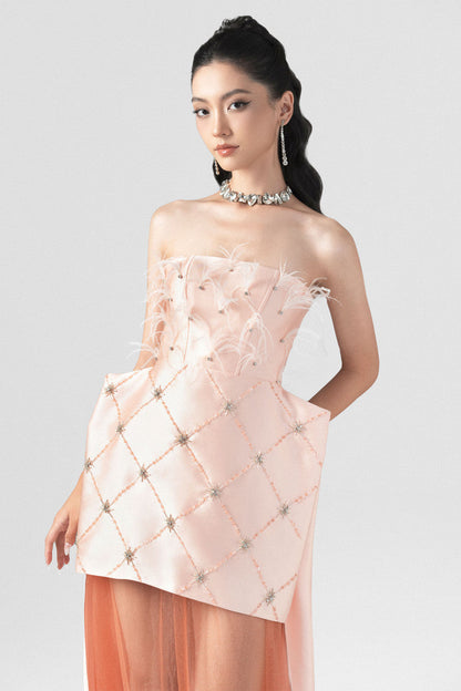 Strapless Feather & Stone Embellished Boxy Gown